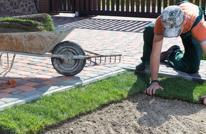 New_Lawn_Installation